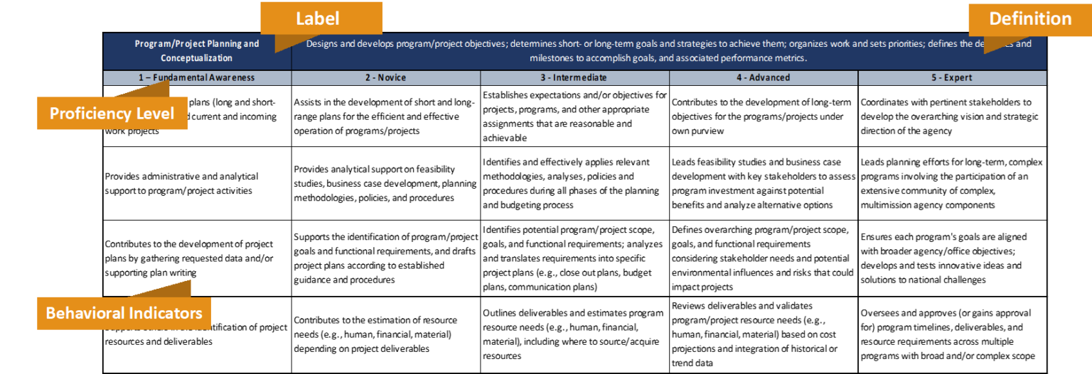 content competency development plan assignment