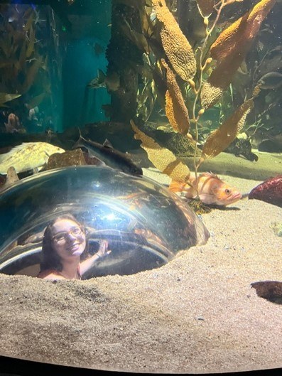 Julia in a glass viewing bubble in an aquarium.